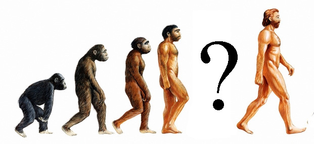 Image result for missing link human evolution